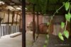 Verkauft !!  Interessantes, sanierungsbedürftiges Haus mit Traum-Garten! - Terrasse über Garage